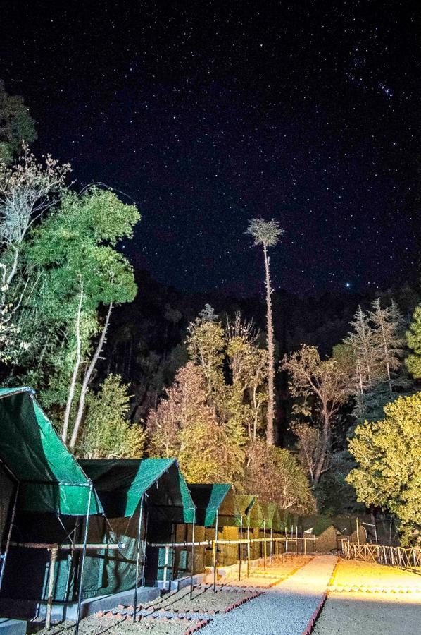 Jungle Stays Chail Luaran gambar